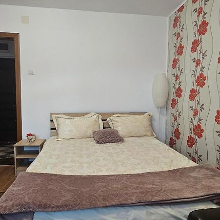 Casa Suzana Apartment Piatra Neamt Exterior photo