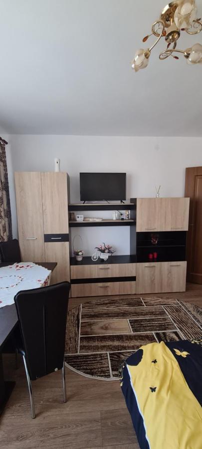 Casa Suzana Apartment Piatra Neamt Exterior photo