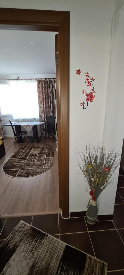 Casa Suzana Apartment Piatra Neamt Exterior photo