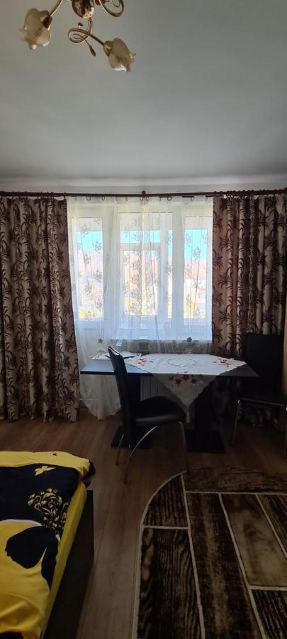 Casa Suzana Apartment Piatra Neamt Exterior photo