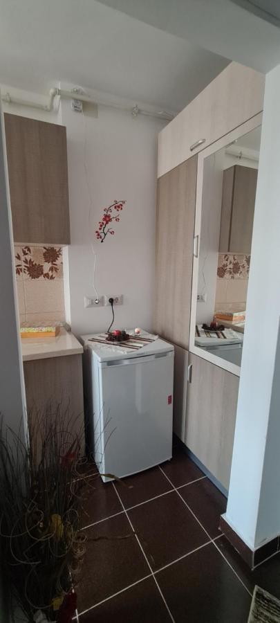 Casa Suzana Apartment Piatra Neamt Exterior photo